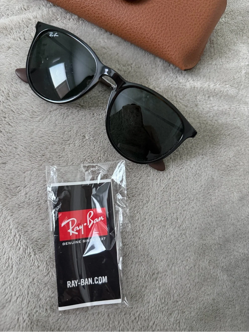 Ray-Ban Black Frame Sunglasses with Dark Lenses